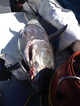 Load image into Gallery viewer, Harpoon Darts