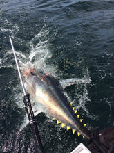 Load image into Gallery viewer, 2-pc 8-ft Money-shot Commercial Harpoon 1” Plain Solid 6061T Hard Anodized Aluminum Handle, 12” Stainless Steel Dart Shaft Bronze Lily Dart on Dyneema Rope Dart Rigging, No Shackle, Carrying Bag