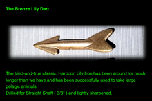 Load image into Gallery viewer, Harpoon Darts