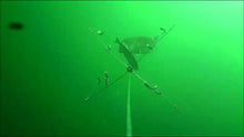 Load image into Gallery viewer, Skurge of the Sea Bass Bomb in action under water
