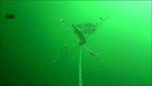 Load image into Gallery viewer, Skurge of the Sea Bass Bomb in action under water