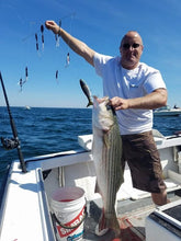 Load image into Gallery viewer, Skurge of the Sea Bass Bomb