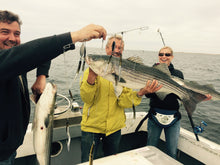 Load image into Gallery viewer, Skurge of the Sea Bass Bomb