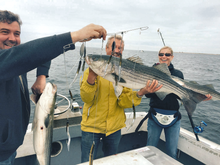 Load image into Gallery viewer, Skurge of the Sea Bass Bomb catches