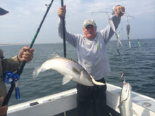 Load image into Gallery viewer, Skurge of the Sea Bass Bomb catches