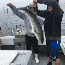 Load image into Gallery viewer, Skurge of the Sea Bass Bomb catches