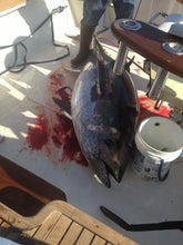 Load image into Gallery viewer, Harpoon Darts