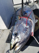 Load image into Gallery viewer, brass penetrator gill plate brass dart