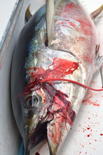 Load image into Gallery viewer, Commercial 2 pc Aluminum Handle Money-shot Harpoon with Bronze Dart