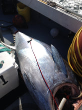 Load image into Gallery viewer, penetrator dart bluefin dart