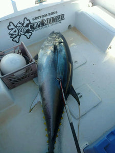 penetrator dart bluefin dart