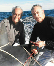 Load image into Gallery viewer, Harpoon Darts