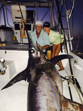 Load image into Gallery viewer, Harpoon Darts