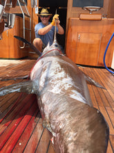 Load image into Gallery viewer, penetrator dart swordfish dart brass dart