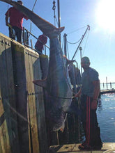 Load image into Gallery viewer, Harpoon Darts