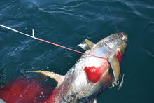 Load image into Gallery viewer, penetrator dart yellowfin dart