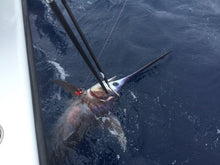 Load image into Gallery viewer, Penetrator Carbon Fiber 6' Straight Heavy Duty Gaff