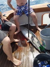 Load image into Gallery viewer, Penetrator Carbon Fiber 6' Straight Heavy Duty Gaff