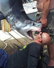 Load image into Gallery viewer, Harpoon Darts