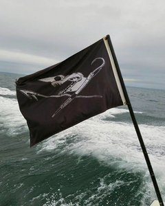 Skurge of the Sea Pirate Flag